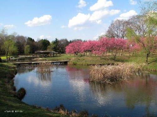 古河公方公園