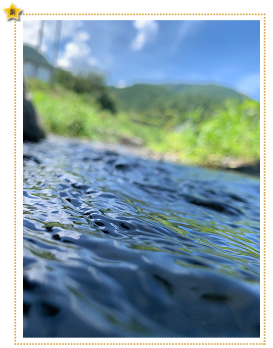 川に流れる葉　～山梨県南アルプス市～　山梨県　県立韮崎工業高等学校1年　秋山　拓弥