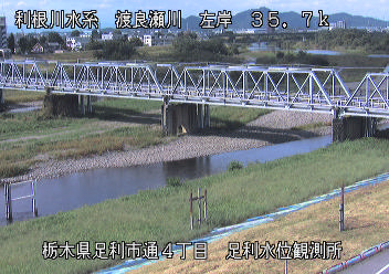 足利水位