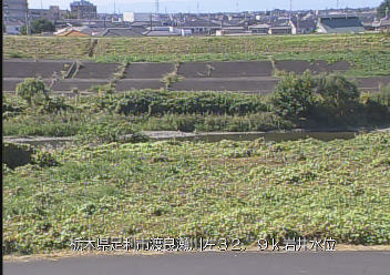 岩井水位