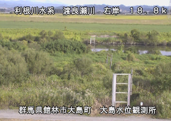 大島水位