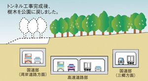 小塚山緑地保全断面