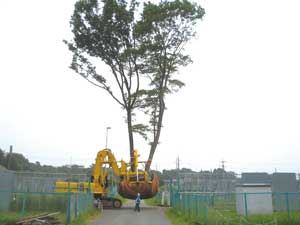 小塚山公園周辺工事に伴う樹木移設の様子