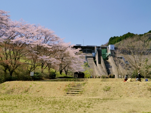 花貫さくら公園