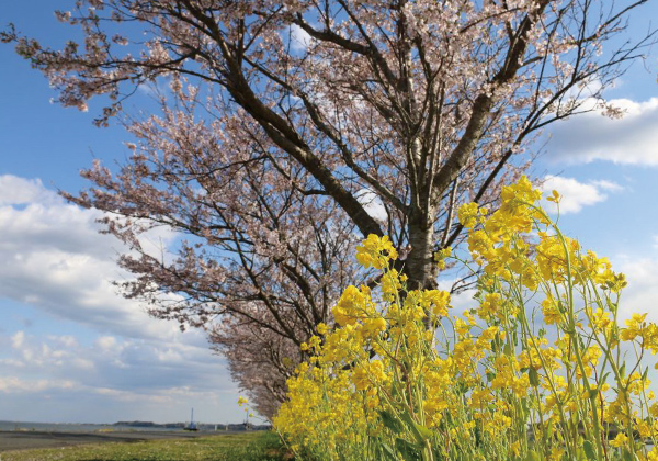 大井戸湖岸公園