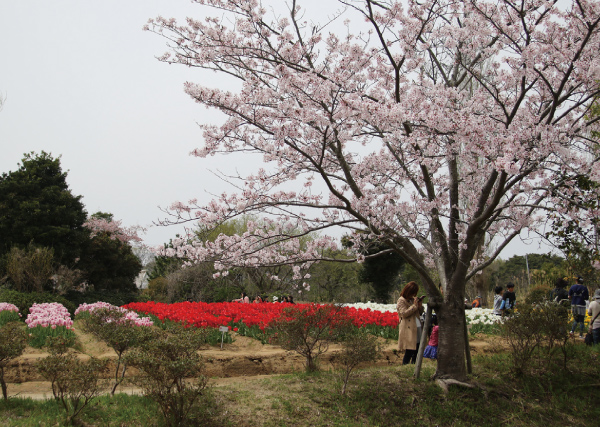 和田公園