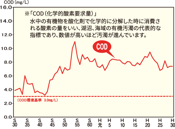 霞ヶ浦の水質