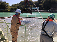 大物が釣れた！？