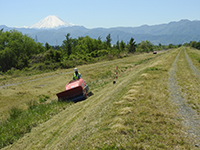 富士山を背景に