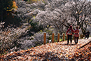 桜山公園