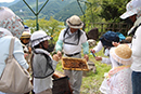 養蜂・林業・陶芸体験
