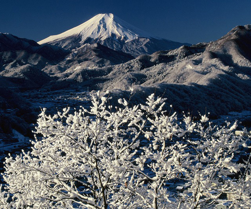 岩殿山丸山公園