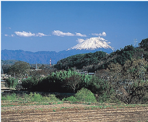 花水坂