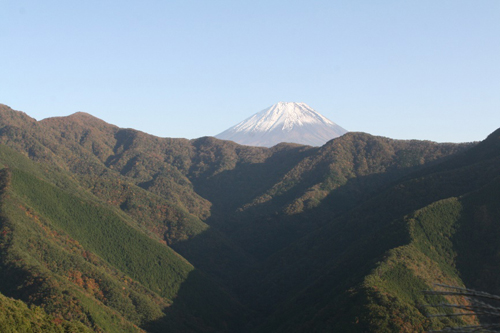 林道折八古関線