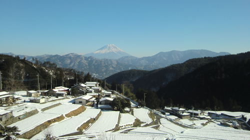 棚田と富士山