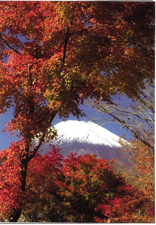 旭日丘湖畔緑地公園