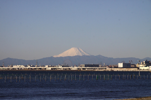 ふなばし三番瀬海浜公園とその周辺