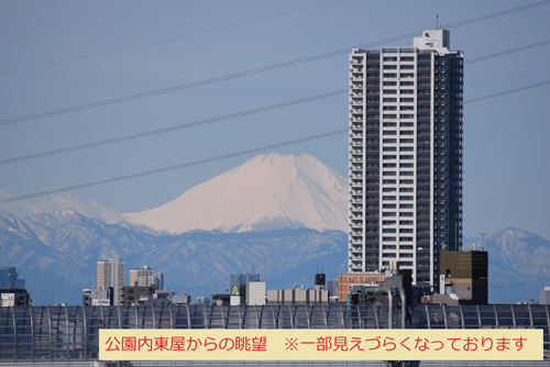 戸定が丘歴史公園内戸定邸