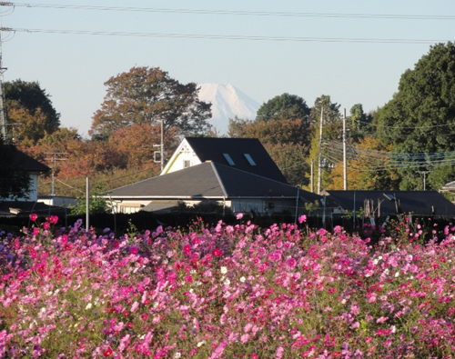 上尾市戸崎地区