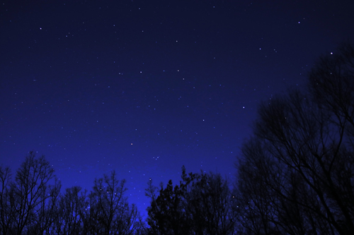 びん沼自然公園からの夜空