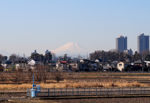 新河岸川堤防