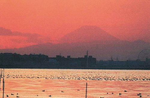 選定当時（夕景）