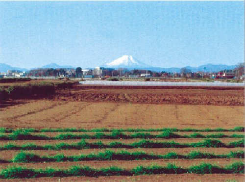 武蔵野からの富士