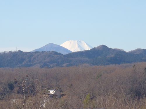 八王子市立栃谷戸公園