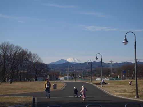 片倉つどいの森公園からの富士