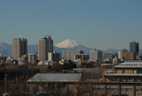 都立浅間山区公園からの富士