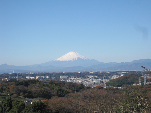 瀬上市民の森