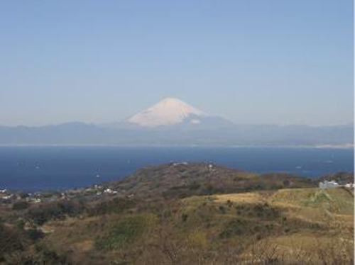 大楠山