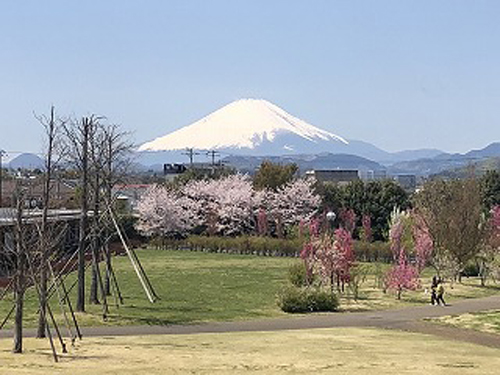 ひらつか花アグリ