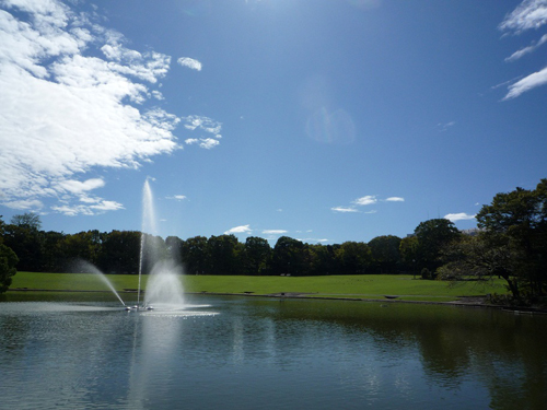 多摩中央公園