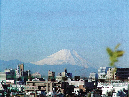 小菅西公園（現在は見えにくくなっています）