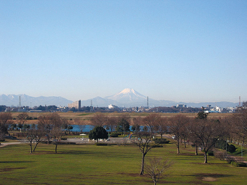 彩湖・道満グリーンパーク