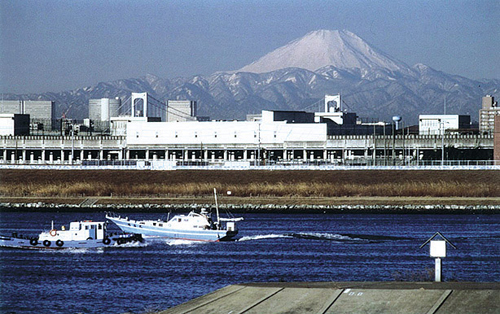 荒川下流