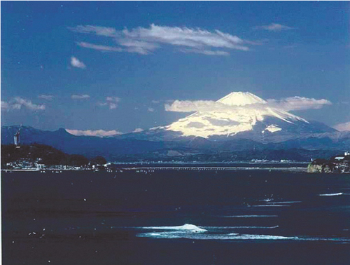 鎌倉海浜公園稲村ガ埼地区