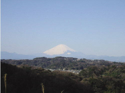 浄明寺緑地