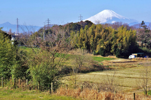 神奈川県立茅ヶ崎里山公園内・柳谷