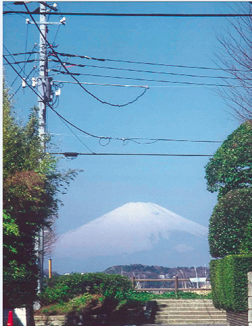 ハイランド住宅内道路