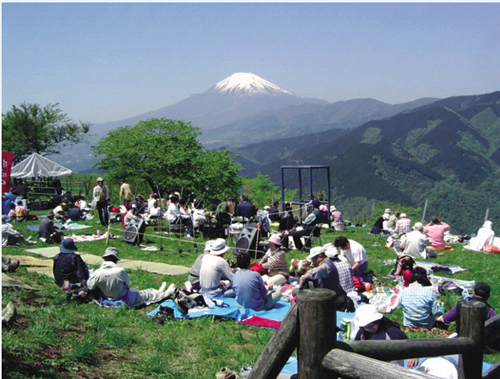 大野山