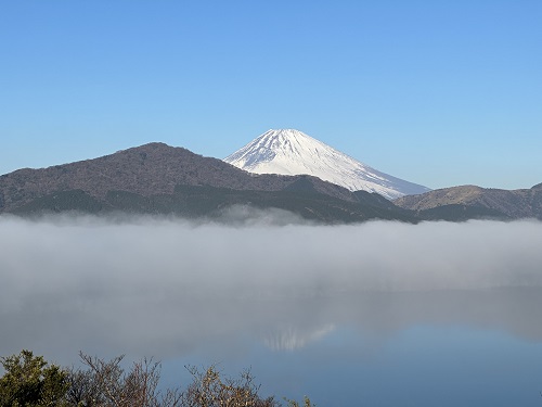 県立恩賜箱根公園（冬）