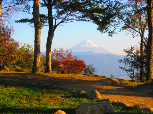 武田の杜（旧：健康の森展望台）