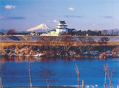 利根川境河岸付近堤防