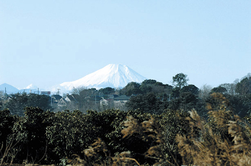 見沼田圃