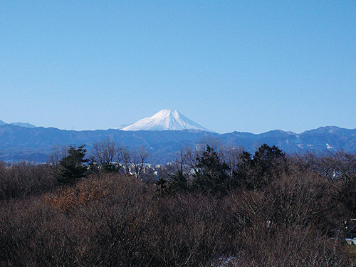 文化の森 六道山公園展望台