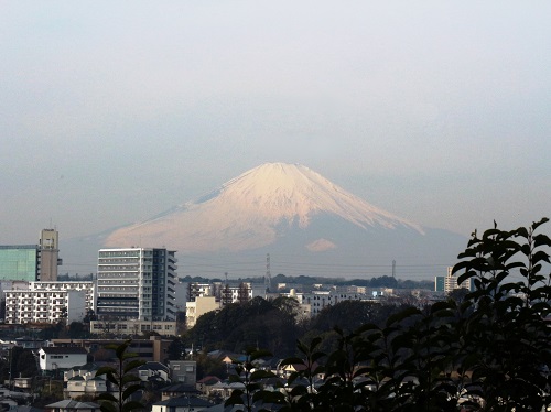 松ノ内公園馬の背遊歩道