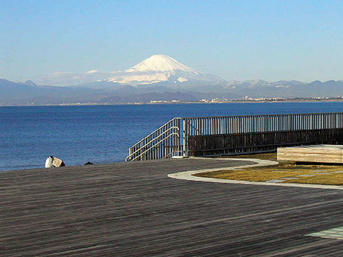 県立湘南海岸公園