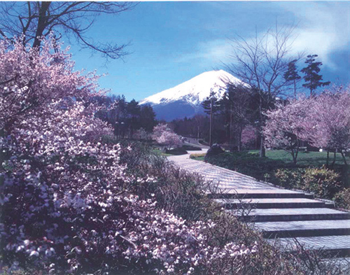 富士北麓公園